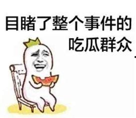 娱乐之星吃瓜群众是谁啊,揭秘娱乐圈神秘幕后推手